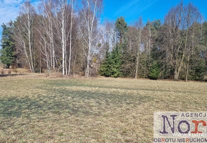 Działka z widokiem na las