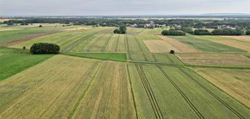 Działka 9400 m2, bizoręda, gm. sobków