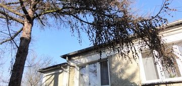 Dom z piwnicą, dla firmy, pracowników, rodziny.