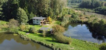 Posiadłość przegędza - staw, las