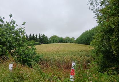 Działka budowlana 1080 m² – ostaszewo | wz | media