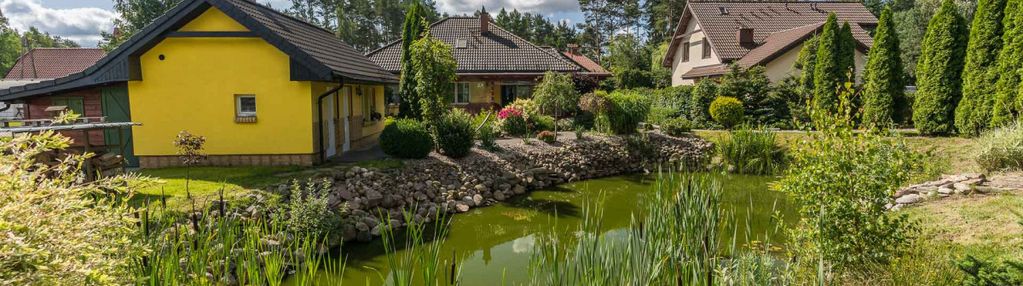 Dom, własny kawałek lasu i staw