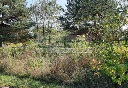 Kaliszki 500 metrów od parku narodowego