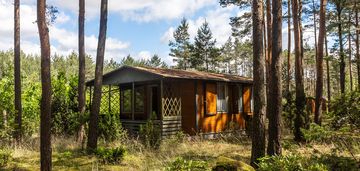 Dom letni w lesie z dużą działką, józefów