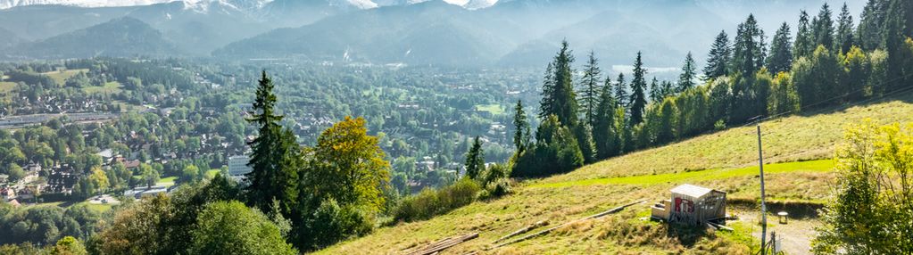 Działka rolna ul. kotelnica zakopane
