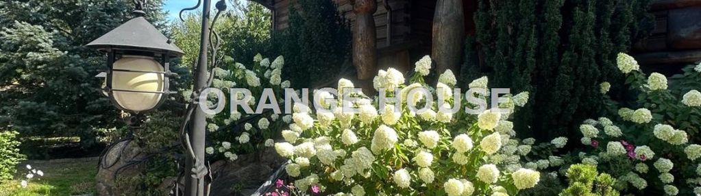 Drewniany dom w centrum tłuszcza