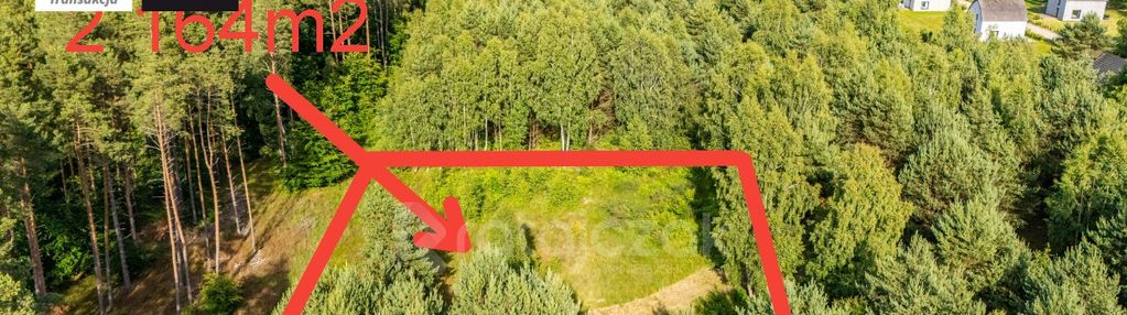 Uzbrojona | mpzp mn+u | sasino | w zacziszu lasu