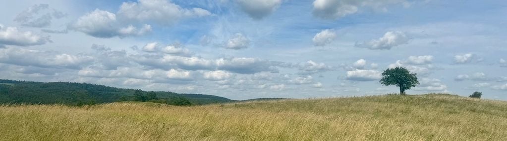 Działka rolna makowa pogórze przemyskie