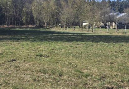 Działka 2200 m² z warunkami zabudowy (1–2 domy)
