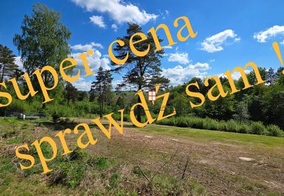 Bieszczady, olchowiec - działki z mpzp