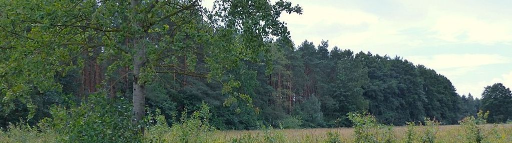 Wydane warunki zabudowy pod siedlisko - małomin