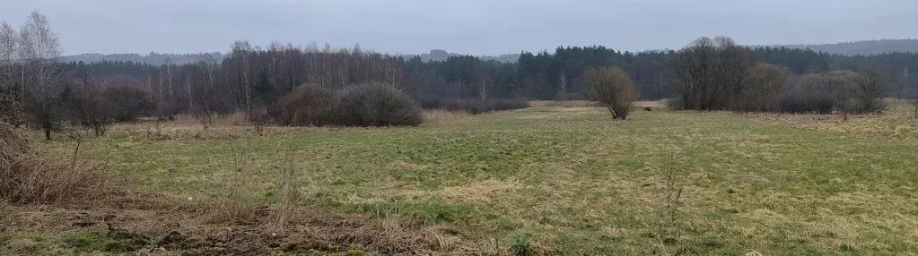 Działka na sprzedaż 6500m2