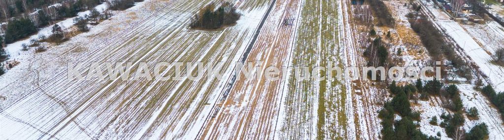 Działka pod lasem, królowa wola