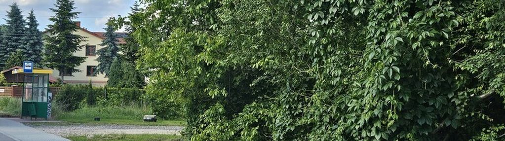 🌲 wyjątkowa działka budowlana dąbrowa, gm. masłów