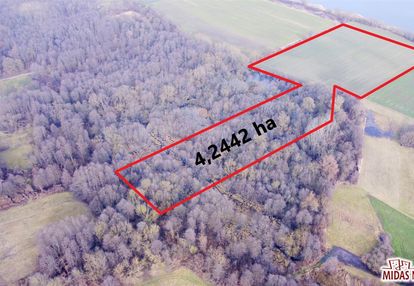 Działka rolno-leśna przy wiśle