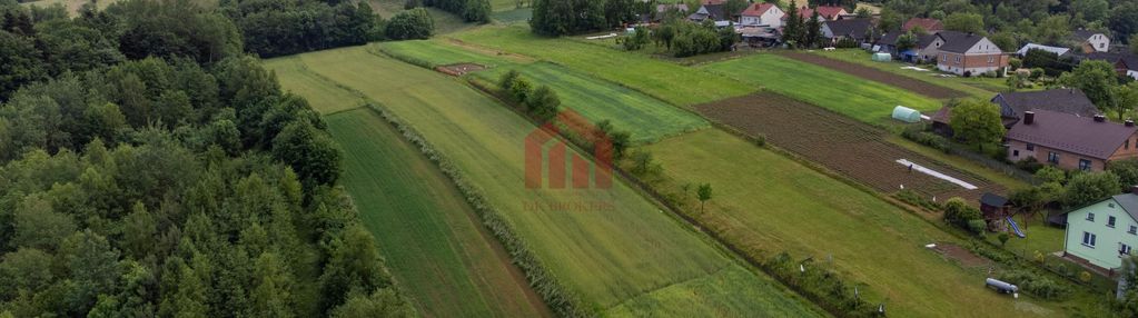 Działka budowlana z widokiem na iglasty las