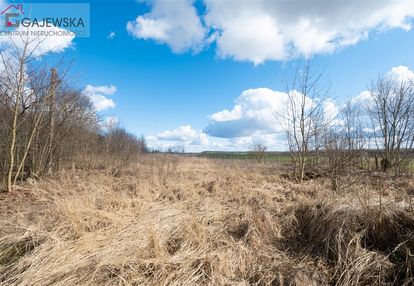 Działka z potencjałem! pokrzywnica gm. szydłowo!