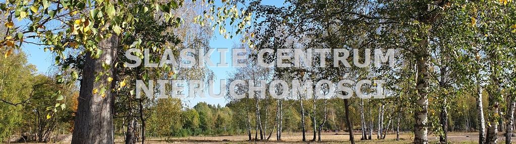 Okazja! będzin działki przy lesie! nowa cena!