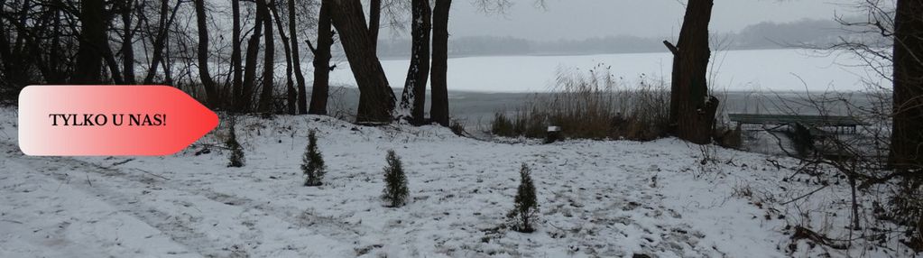 Działka z linią brzegową nad jeziorem ostrowickim