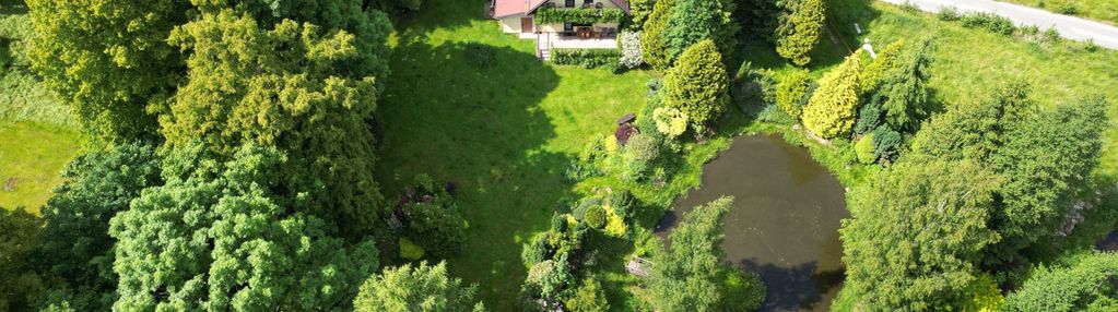 Dom i ogród marzeń obok polanicy / staw i strumień