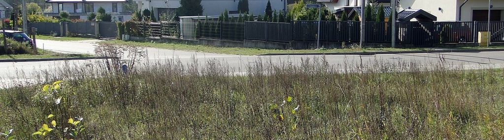 Sobolewo, działka budowlana 1200 m2
