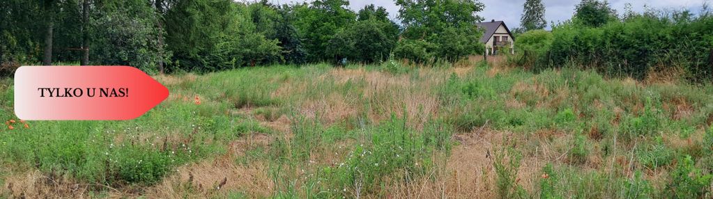 Działka z budynkiem gospodarczym/mieszkalnym
