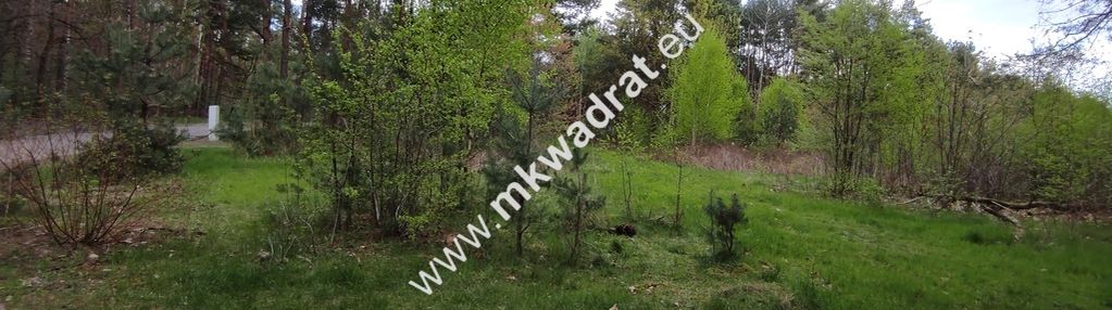 Piękna działka otoczona lasem 2564 m2, czarny las