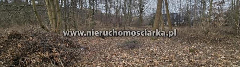 Działka budowlano-zielona, las, strumyk chrobrego