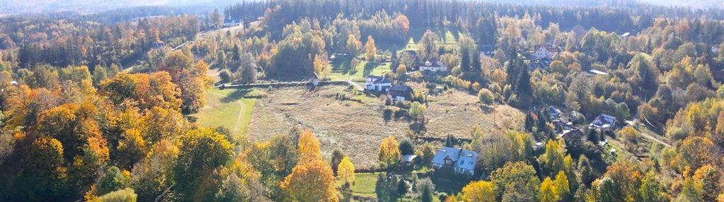 Dwudziestowieczny dworek w malowniczej lokalizacji