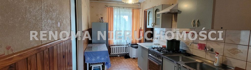 Stary lesieniec 50m2 z ogrodem nowa cena