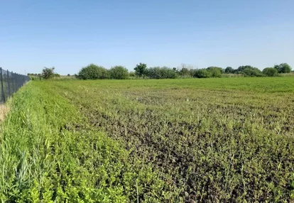 Działka budowlana, Deszczno ul. Wietrzna