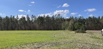 Siedliskowa działka w karwnie (powiat bytów)