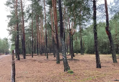 Działka na sprzedaż 3600m2