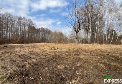 Działka dojlidy otoczona lasem