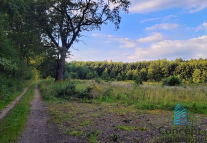 Mokrzyska - 49 arów - warunki zabudowy!