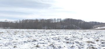 Inwestycja - trzy bliźniaki lub domy jednorodzinne