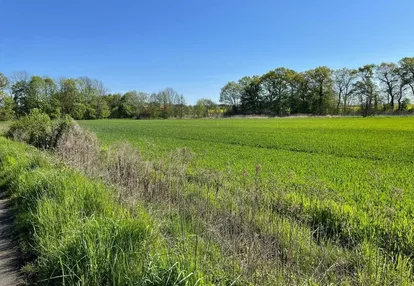 Działka na sprzedaż 1700m2