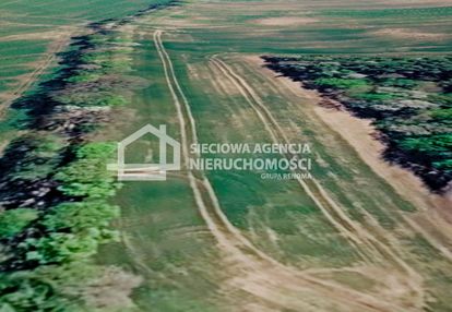 Działka rolna 3000 m2 bychowo/gniewino