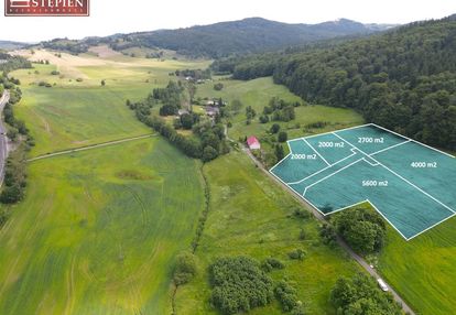 Malownicza działka pośród pól i lasu