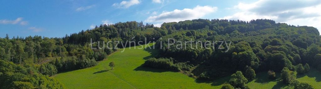 15 ha w wojcieszowie