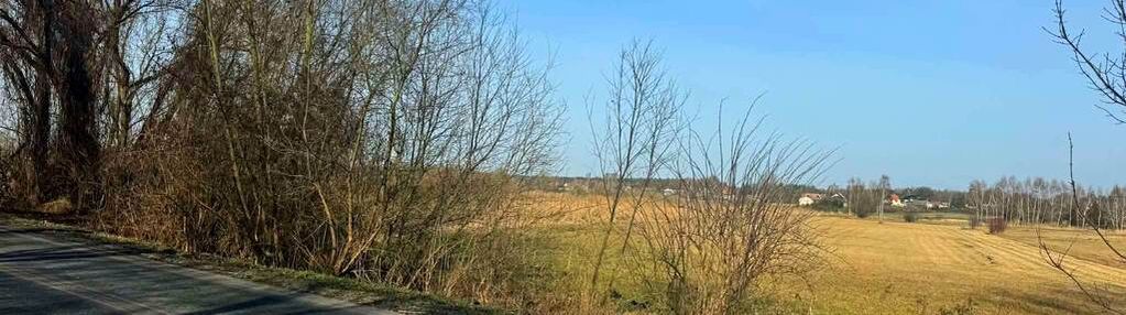 Opole lubelskie – duża działka rolna 4 822 m²