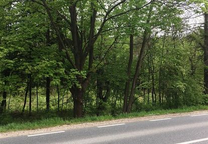 Działka pod stacje paliw lub usługi komercyjne