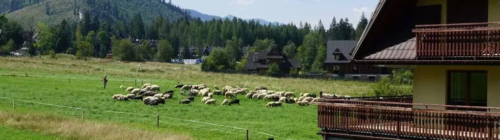 Okazja! Mieszkanie Zakopane Tanio