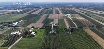 Działka rolna 9000m2 wraz z domem