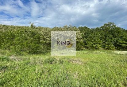 Sprzedaż działka rolna w czermnicy, gmina nowogard