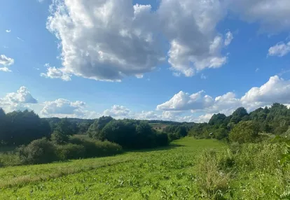 Działka na sprzedaż 6000m2