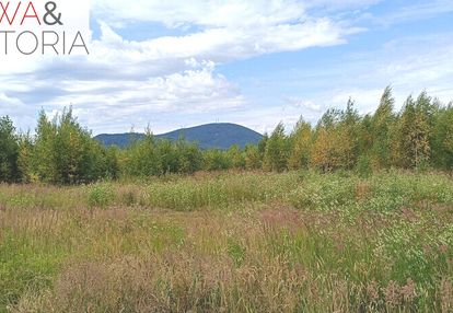 Widokowa, usługowa działka z mediami w wałbrzychu