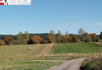 Słoneczna działka w atrakcyjnym miejscu