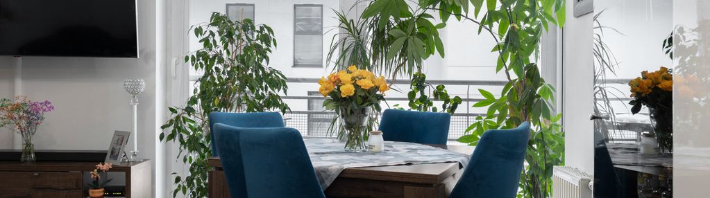 Przestronne, 3-pokojowe mieszkanie na jasieniu!