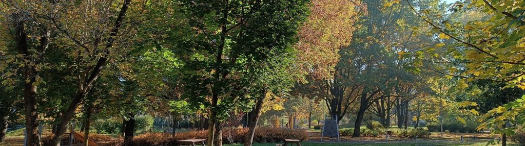 0 % prowizji !  własny ogródek , niska zabudowa